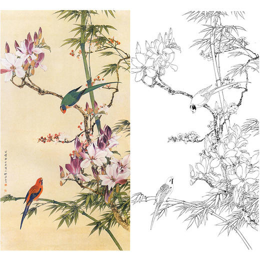田世光工笔竖幅花鸟白描底稿-《辛夷双鹦》-多种白描尺寸可选-SG72 商品图0