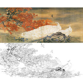 田世光工笔横幅花鸟白描底稿-《丹枫玉羽》-多种白描尺寸可选-SG48