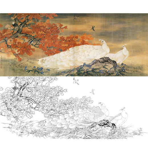 田世光工笔横幅花鸟白描底稿-《丹枫玉羽》-多种白描尺寸可选-SG48 商品图0