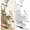 田世光工笔竖幅花鸟白描底稿-《颐和春竹》-多种白描尺寸可选-SG61 商品缩略图0
