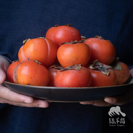 生态柿子 | 合作生产 *Eco-Huojing persimmon | Coproduction 商品图3
