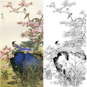 田世光工笔竖幅花鸟白描底稿-桃花山鹊-SG70