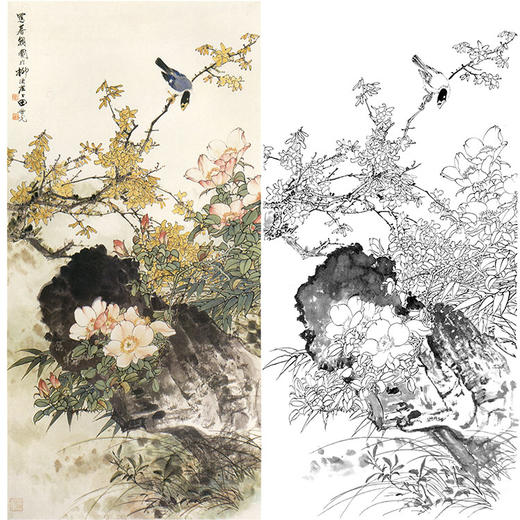 田世光工笔竖幅花鸟白描底稿-《春朝图》-多种白描尺寸可选-SG66 商品图0