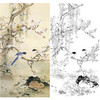 田世光工笔竖幅花鸟白描底稿-《杏柳山鹊》-多种白描尺寸可选-SG62 商品缩略图0
