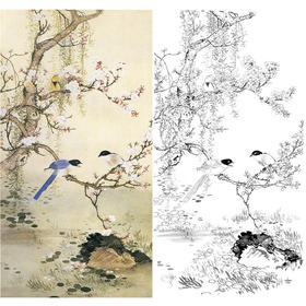 田世光工笔竖幅花鸟白描底稿-《杏柳山鹊》-多种白描尺寸可选-SG62
