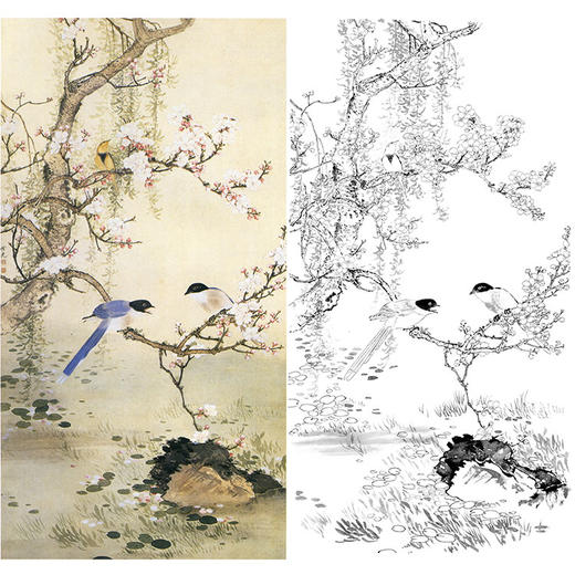田世光工笔竖幅花鸟白描底稿-《杏柳山鹊》-多种白描尺寸可选-SG62 商品图0