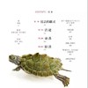 《美国国家地理“影像方舟”：珍稀动物全书 》精装 商品缩略图7