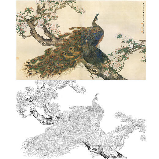 田世光工笔横幅花鸟白描底稿-海棠孔雀-SG46 商品图0