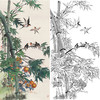 田世光工笔竖幅花鸟白描底稿-SG55 商品缩略图0