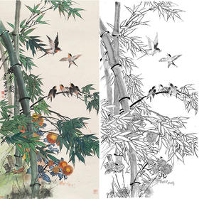 田世光工笔竖幅花鸟白描底稿-SG55