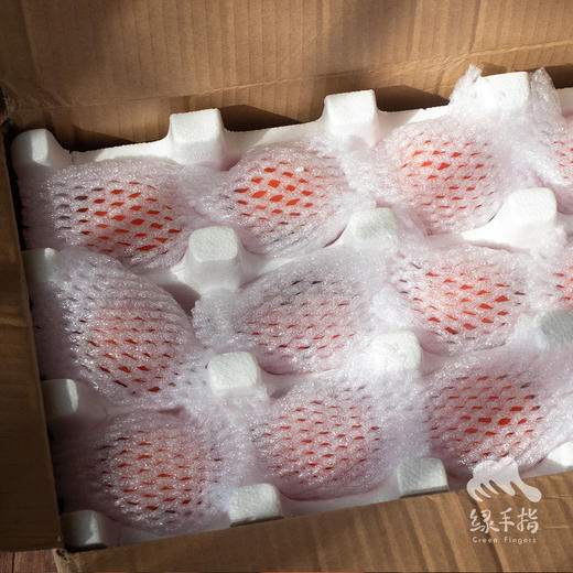 生态柿子 | 合作生产 *Eco-Huojing persimmon | Coproduction 商品图4