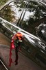 橙红色大v婚车 商品缩略图2