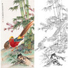 田世光工笔竖幅花鸟白描底稿-SG50 商品缩略图0