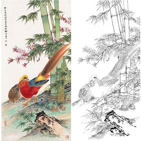 田世光工笔竖幅花鸟白描底稿-SG50