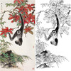 田世光工笔竖幅花鸟动物白描底稿-猴-SG53 商品缩略图0