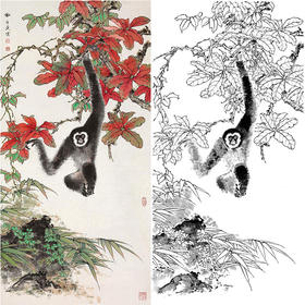 田世光工笔竖幅花鸟动物白描底稿-猴-SG53