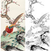 田世光工笔竖幅花鸟白描底稿-SG51 商品缩略图0