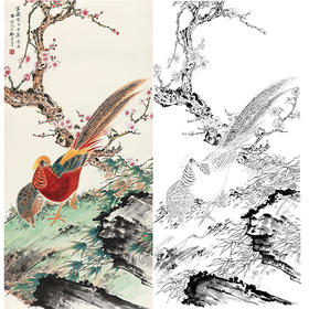 田世光工笔竖幅花鸟白描底稿-SG51