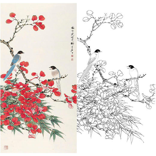 田世光工笔竖幅花鸟白描底稿-SG56 商品图0
