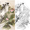 田世光工笔竖幅花鸟白描底稿-《冬晖》-多种白描尺寸可选-SG67 商品缩略图0