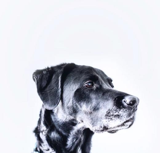 同城满减 先别动 商品图0