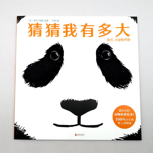 猜猜我有多大 商品图2