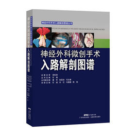 神经外科微创手术入路解剖图谱 石瑾 主编