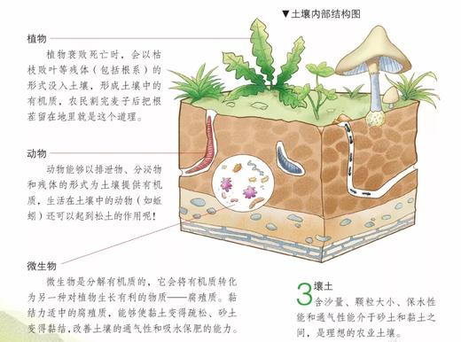 《诗词中的科学》全4册 6-12岁地理科学物理自然现象 商品图7