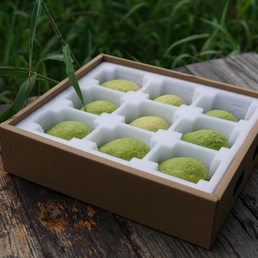 预订有机胭脂红番石榴，支持农场重建 商品图2