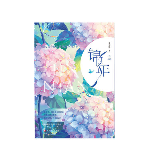 锦年（全二册）素光同 著 商品图1