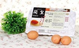  好物推荐 | 鸡蛋中的贵族！兰皇鸡蛋--可以生食的鸡蛋！ 