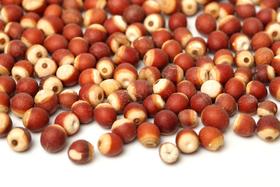  知识专栏 | 夏日祛湿小战士，芡实怎么吃最好？ 