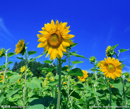 214社区团购 商品图0