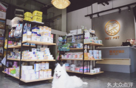 定时发布-立即发布