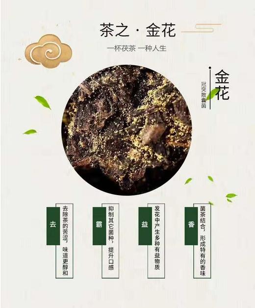 肥羊满圈羊年生肖茯砖茶礼660克*2 商品图6