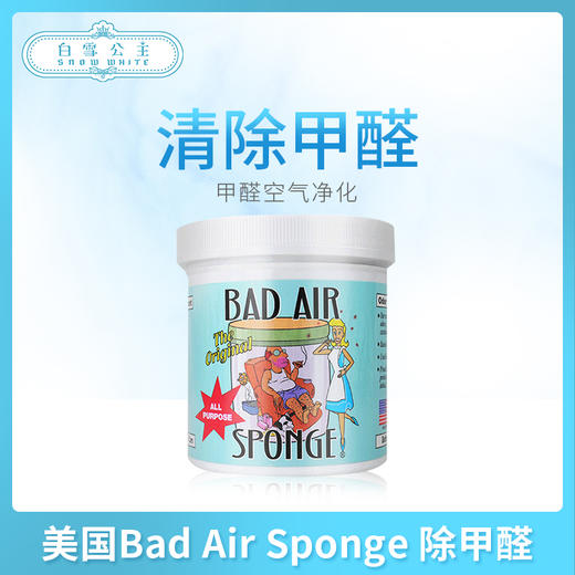 美国Bad Air Sponge 除甲醛 空气净化器清新剂 400g（1000013） 商品图0