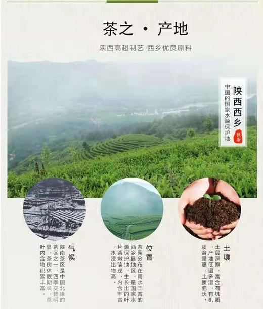 十万八千里猴年茯砖茶660克*2 商品图9