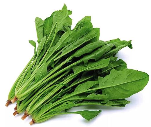 菠菜500g±50g【团购价5.98元】 商品图0