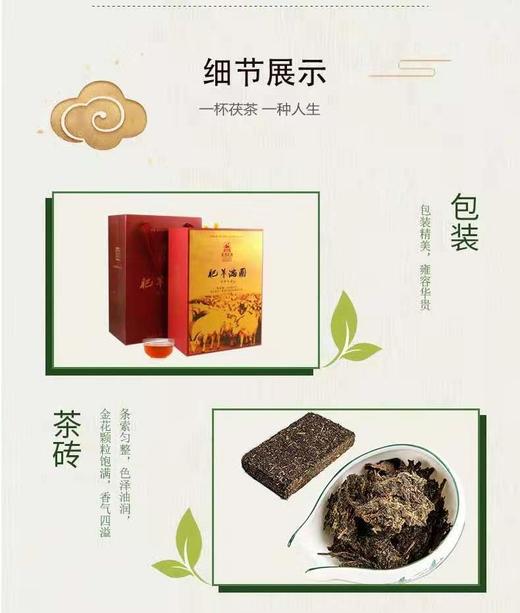 肥羊满圈羊年生肖茯砖茶礼660克*2 商品图7