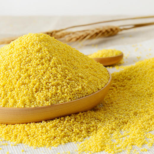 【2019新米】吉林乾安小米黄小米农家小米粥小黄米月子米 商品图0