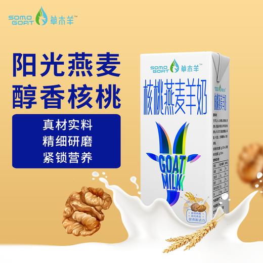 【草木羊】核桃燕麦羊奶儿童学生成人营养早餐奶250ml*6盒 商品图1