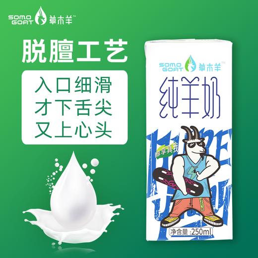 草木羊 | 纯羊奶 生羊乳山羊奶 非牛奶250ML*6盒 商品图2