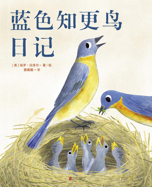 蓝色知更鸟日记 商品图0