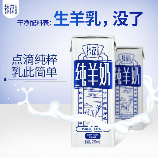 【添葆】羊奶山羊奶盒装早餐纯羊奶250ml*6盒 商品图2