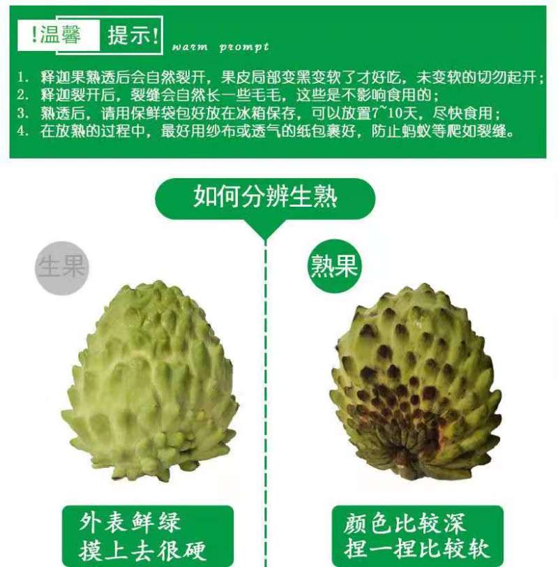 树熟释迦果带言