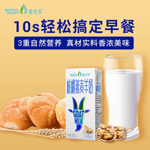 【草木羊】核桃燕麦羊奶儿童学生成人营养早餐奶250ml*6盒 商品图2