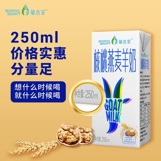 【草木羊】核桃燕麦羊奶儿童学生成人营养早餐奶250ml*6盒 商品图3
