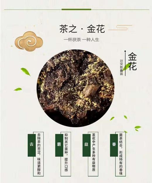 金马玉堂马年生肖茯茶礼660克*2 商品图5