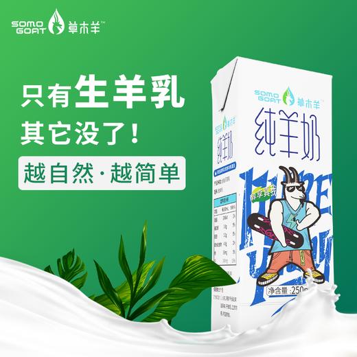 草木羊 | 纯羊奶 生羊乳山羊奶 非牛奶250ML*6盒 商品图0