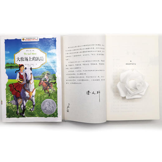 《百年国际大奖小说·国际超级大奖儿童小说系列》精选辑 全9册 商品图8